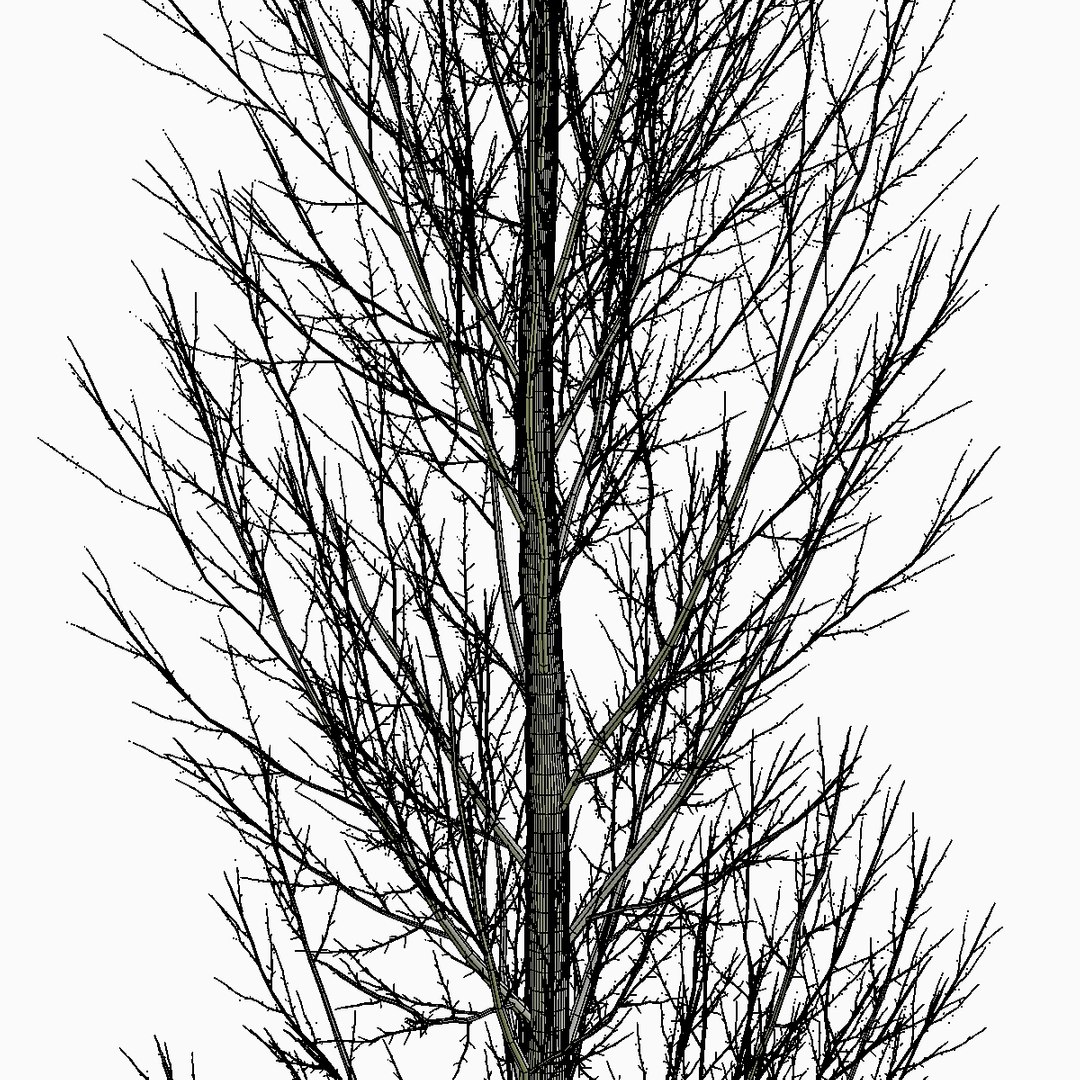 3d model of tree environment https://p.turbosquid.com/ts-thumb/Ju/xBWfo0/pfKybxVL/6/jpg/1469270857/1920x1080/fit_q87/e0e2ad5f1398ef0c069770793ebde61189703e1a/6.jpg