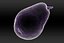 Pear 3D Scan de alta qualidade