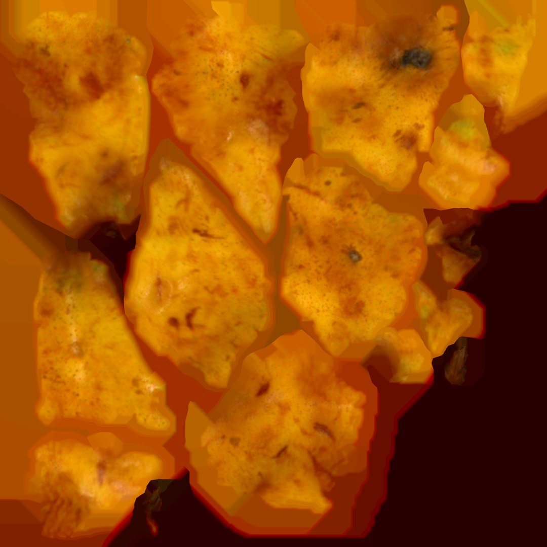 Pear 3D Scan High Quality 3D https://p.turbosquid.com/ts-thumb/Ju/yI5tC6/CN/pear3_0/png/1624091556/1920x1080/fit_q87/2e69f5ecd99cbb2e174055498368d09f194d3894/pear3_0.jpg