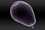 Pear 3D Scan de alta qualidade