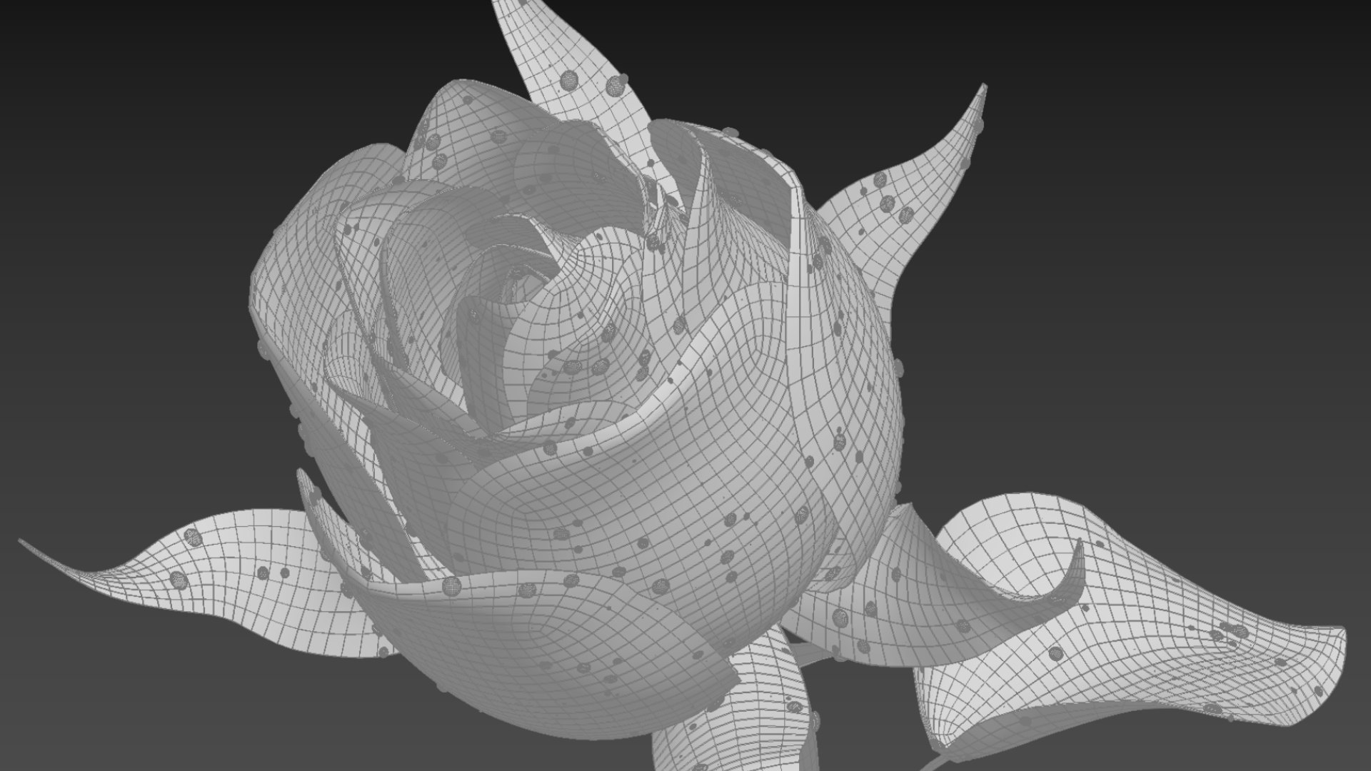 Rose Flower 3D Model - TurboSquid 2037582