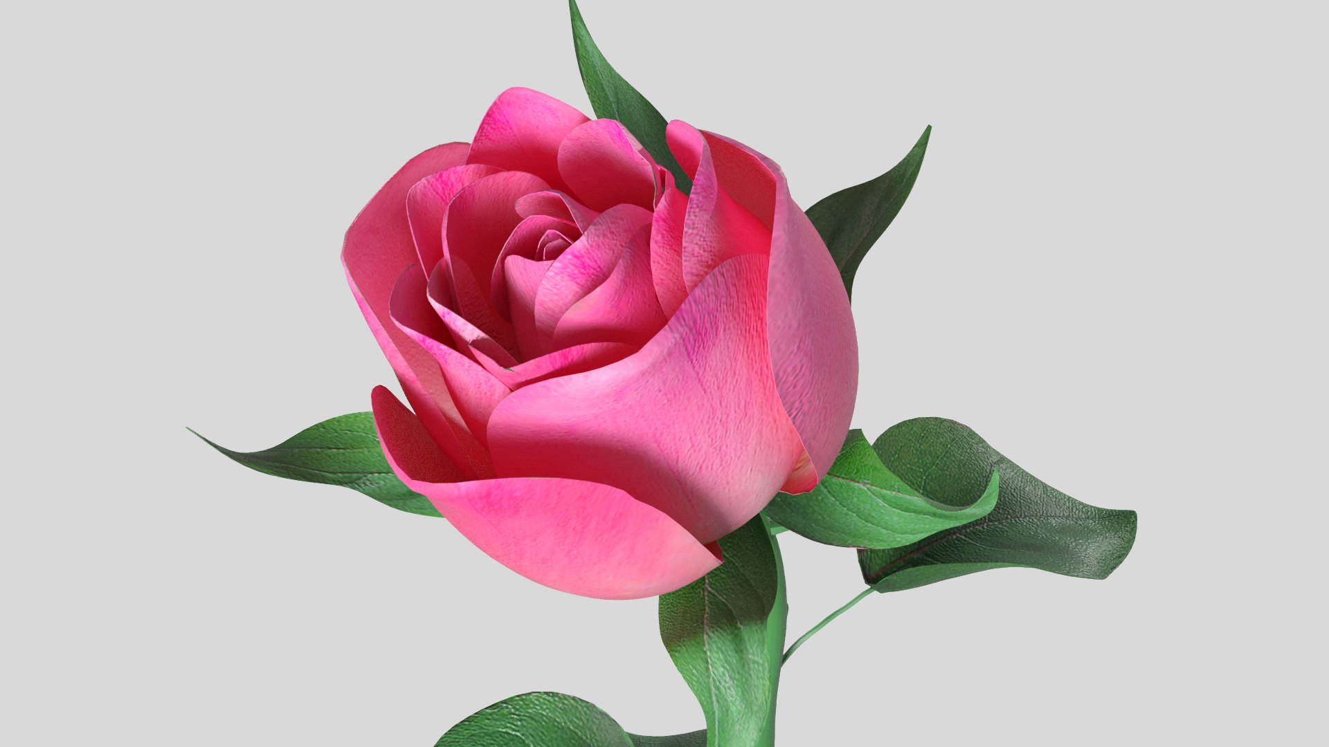 Rose Flower 3D Model - TurboSquid 2037582