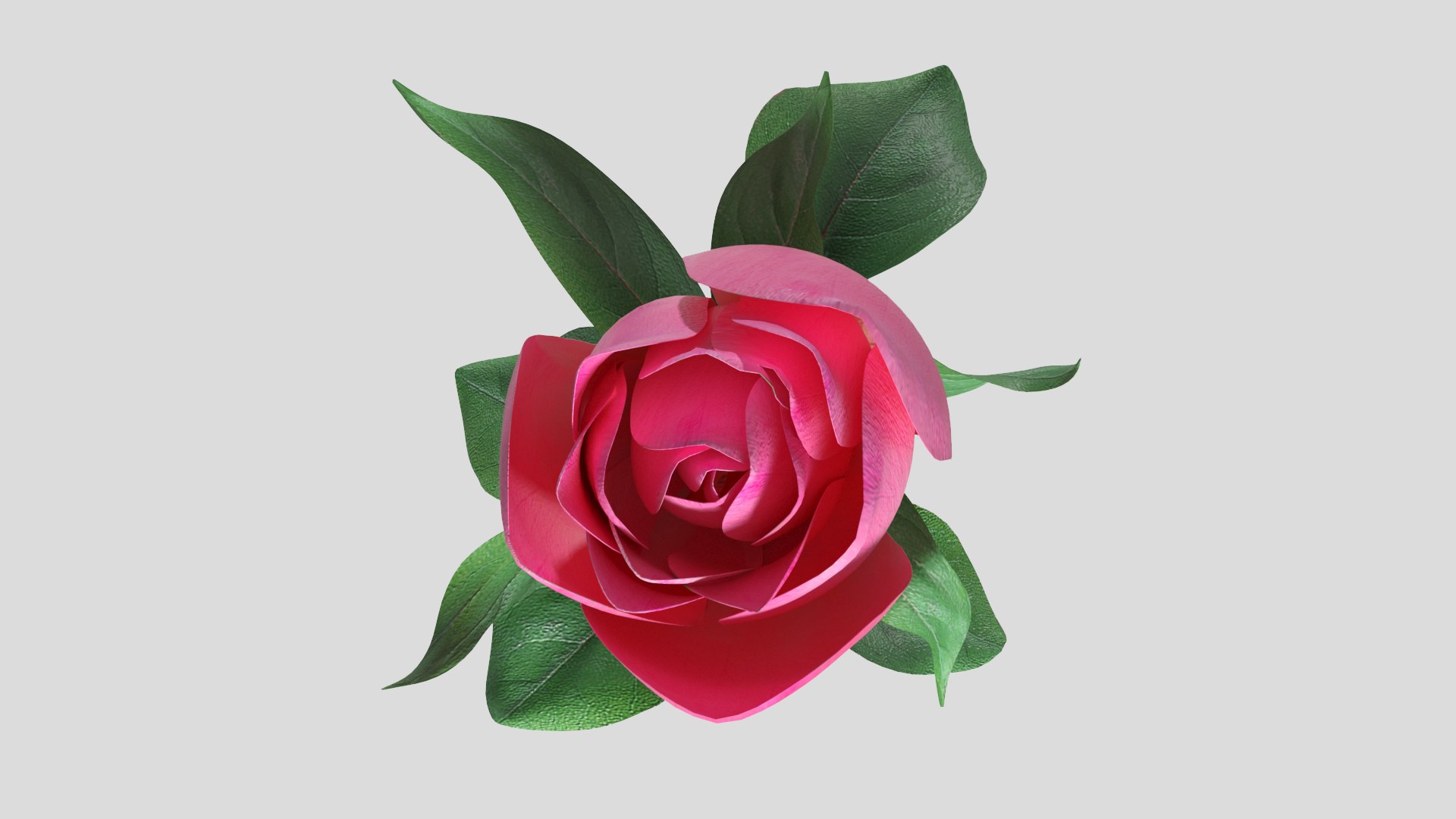 Rose Flower 3D Model - TurboSquid 2037582