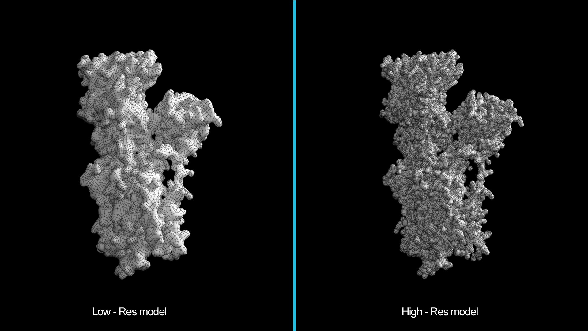 Cell Membrane - Calcium Pump 3D Model - TurboSquid 2294195