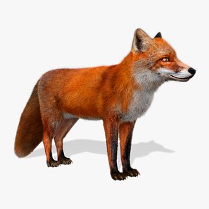 Red Fox Animated