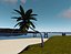 Curved Palmtrees Max2010