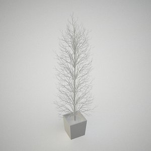 3d model decorative tree