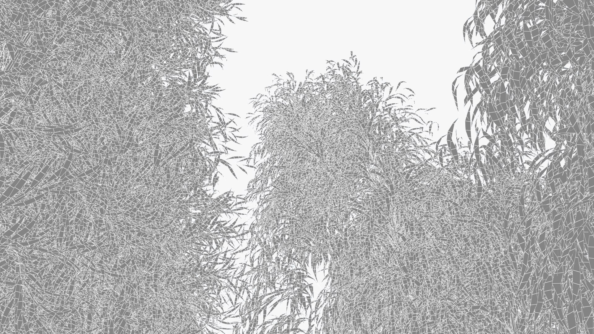 bamboo 3D https://p.turbosquid.com/ts-thumb/Jv/Pnv6Bz/XObTjkYl/wirebamboo_001/jpg/1580812874/1920x1080/fit_q87/869ed0c58c22c133aece65d184eccfd489b8e0ad/wirebamboo_001.jpg