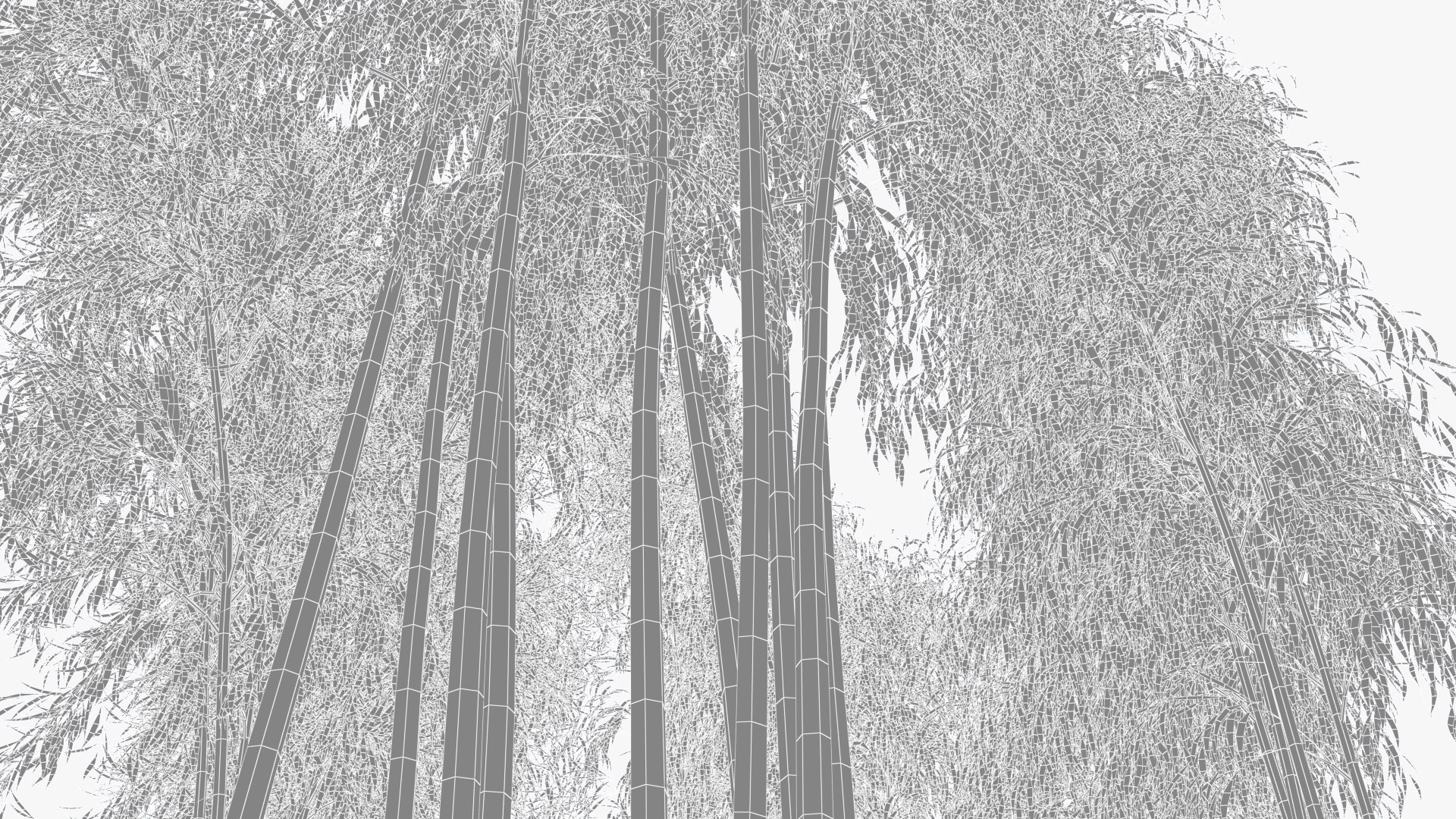 bamboo 3D https://p.turbosquid.com/ts-thumb/Jv/Pnv6Bz/cKFPM0ue/wirebamboo_003/jpg/1580812874/1920x1080/fit_q87/4b49d937b59f9c3f358e4b5e0dccef98ec882c8b/wirebamboo_003.jpg