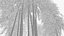 Bamboo #2