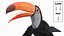 Uccello tucano toco truccato