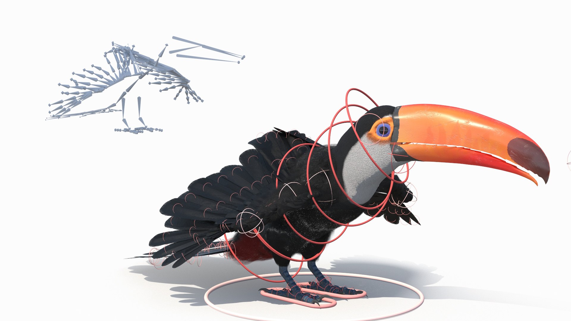 Toco Toucan Bird Rigged model https://p.turbosquid.com/ts-thumb/Jv/VoUixA/nw/toco_toucan_bird_rigged_003/jpg/1762465307/1920x1080/fit_q87/154fa46ebd66cec5e753383f8d021b6a8370f5d5/toco_toucan_bird_rigged_003.jpg