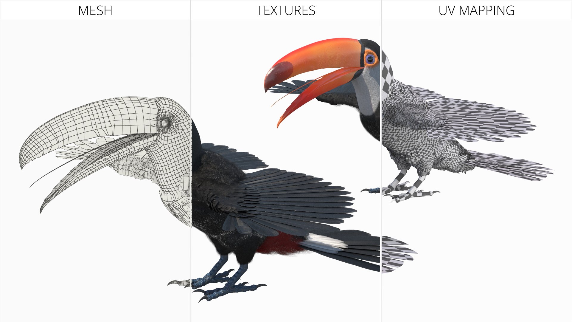 Toco Toucan Bird Rigged model https://p.turbosquid.com/ts-thumb/Jv/VoUixA/sS/toco_toucan_bird_rigged_014/jpg/1762465344/1920x1080/fit_q87/c7493bdf3802d96b0ed7a2a07b91bf13141ca9d9/toco_toucan_bird_rigged_014.jpg