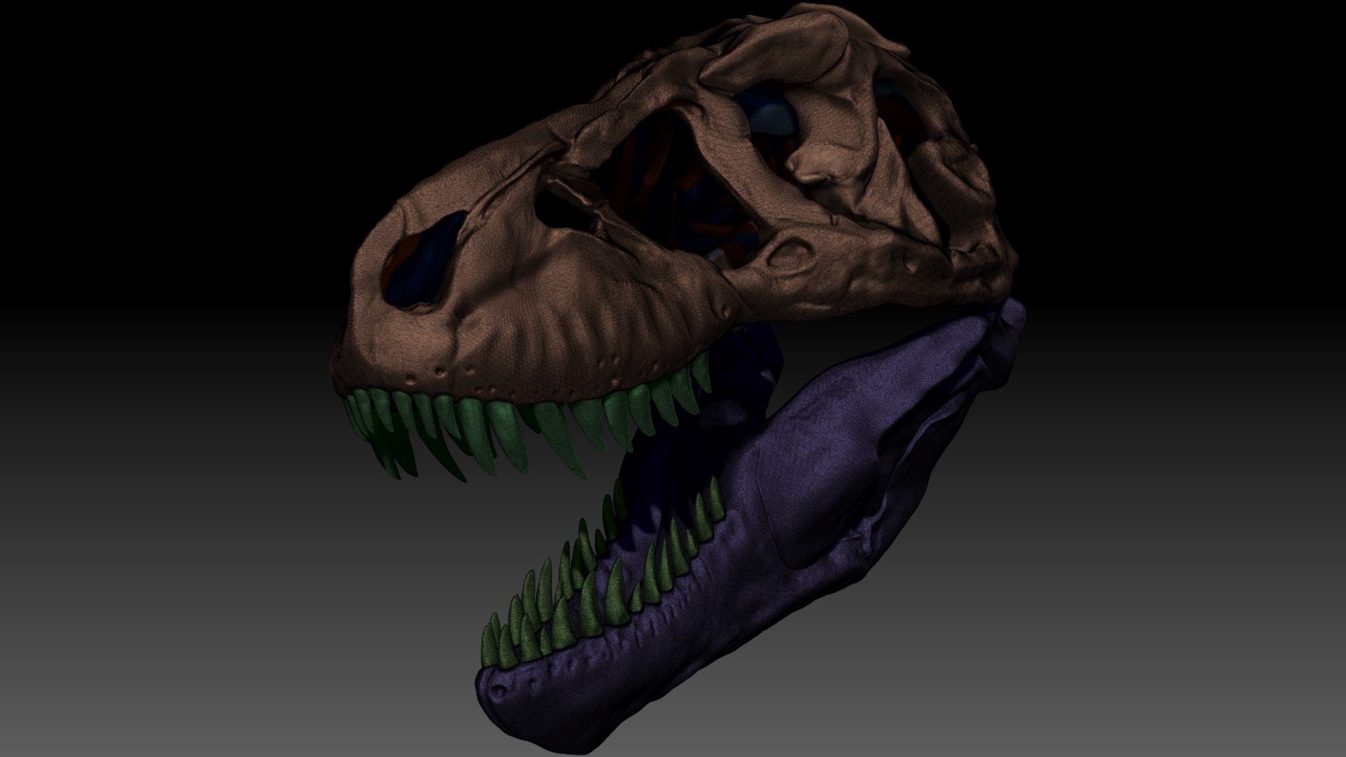 3D model Tyrannosaurus Rex Sue Real Dinosaur Series VR / AR / low-poly