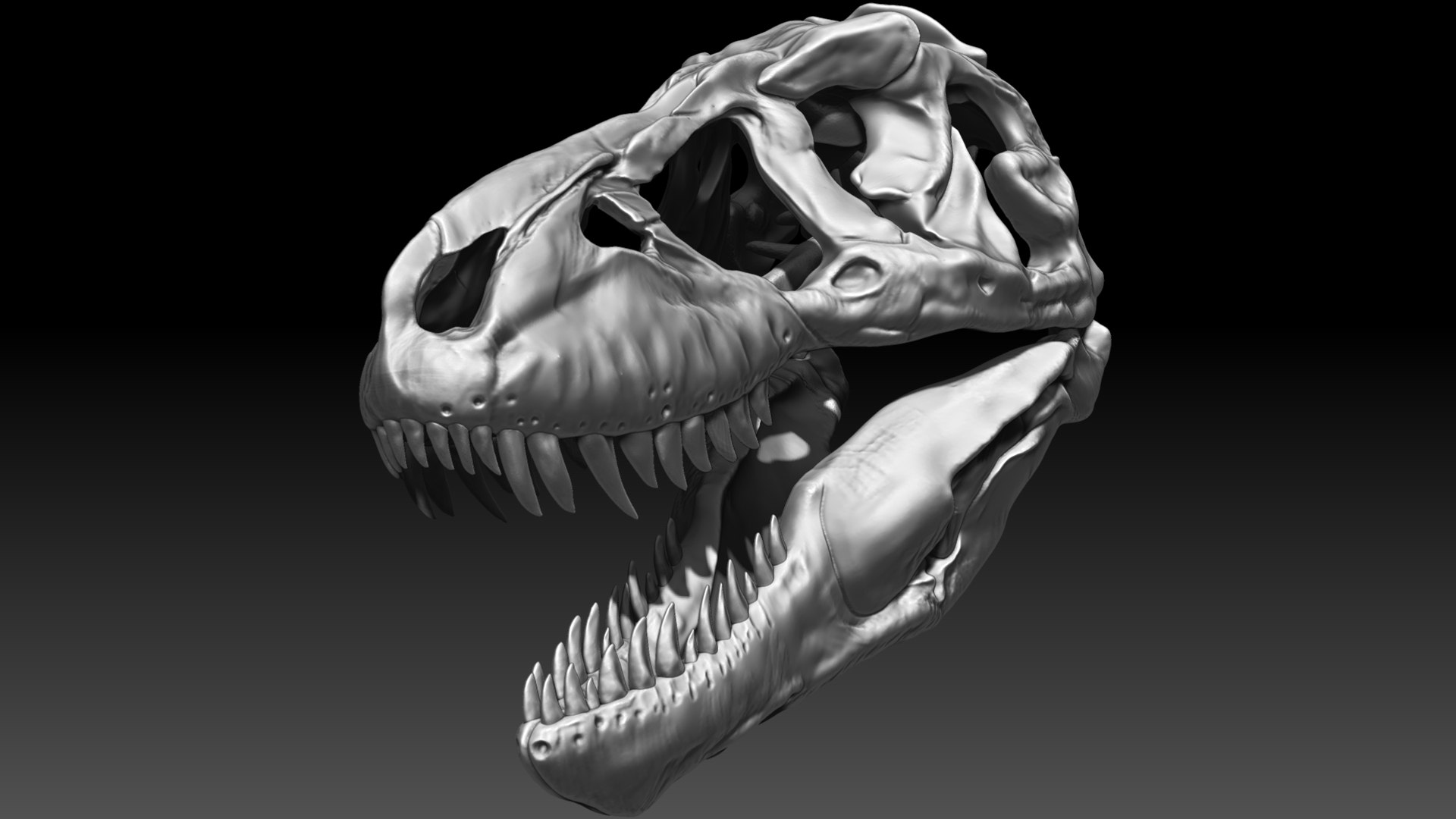 3D model Tyrannosaurus Rex Sue Real Dinosaur Series VR / AR / low-poly