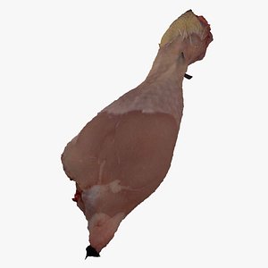 Chicken Drumstick 02 RAW Scan 3D model