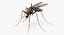 insects big rigged 5 3D model