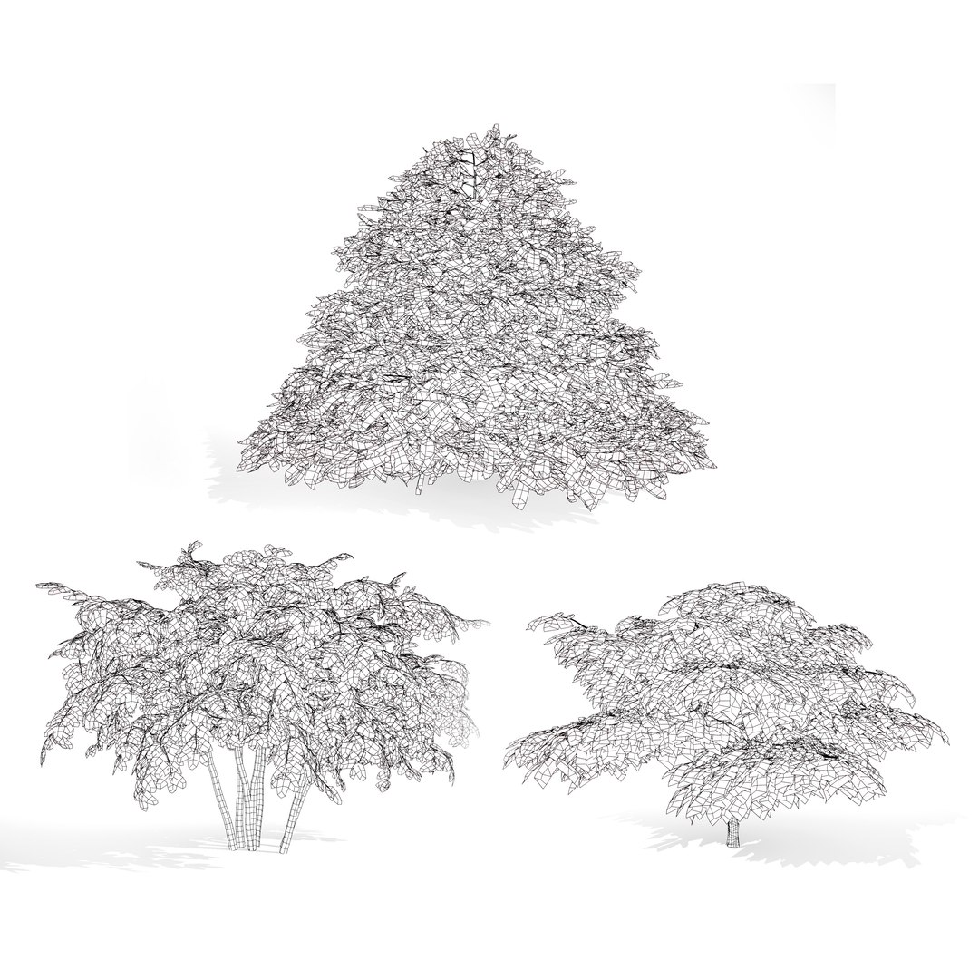 3D Blue Dogwood Deciduous Shrub model https://p.turbosquid.com/ts-thumb/Jv/r2LiTo/NQ/wire/jpg/1707820465/1920x1080/fit_q87/d87257ed4c66a8f6e0365f94f4731eb6d24dc02d/wire.jpg