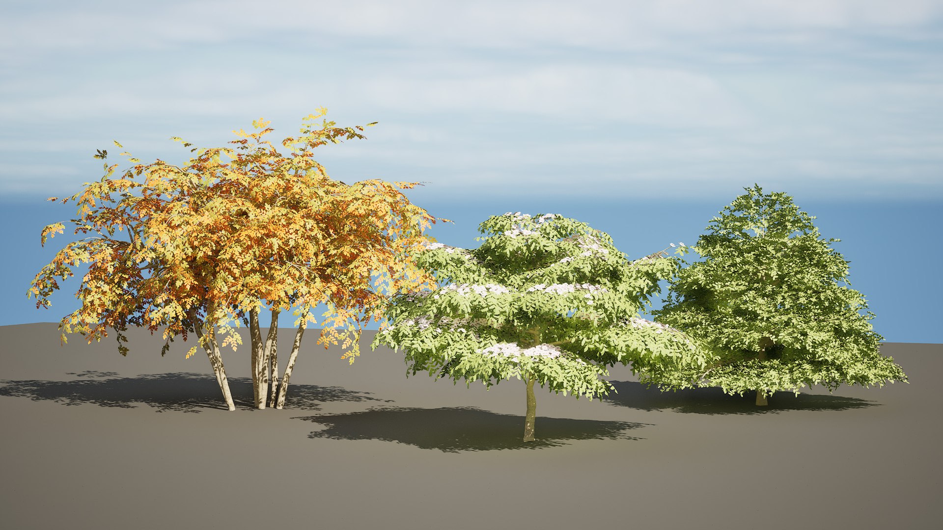 3D Blue Dogwood Deciduous Shrub model https://p.turbosquid.com/ts-thumb/Jv/r2LiTo/RS/highresscreenshot00000/jpg/1707820445/1920x1080/fit_q87/b0d45d6ae288b89ce88a743b7bb73884d10f3de8/highresscreenshot00000.jpg