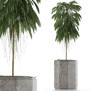 3D model single plant 03