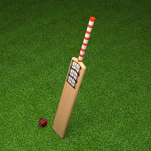 3D cricket bat ball