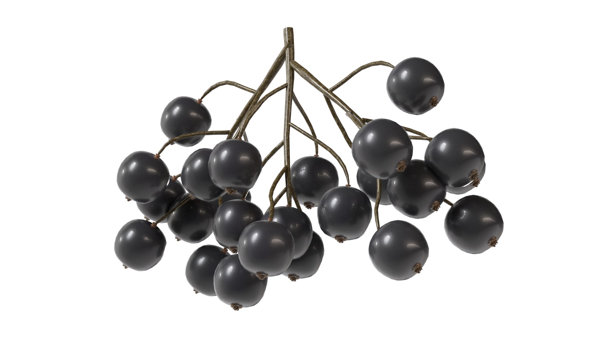 3D model Black Currant https://p.turbosquid.com/ts-thumb/Jv/yXH4mf/9E/3/jpg/1779512833/1920x1080/fit_q87/6124b37c097887853687482f1ef963d73ba025f4/3.jpg