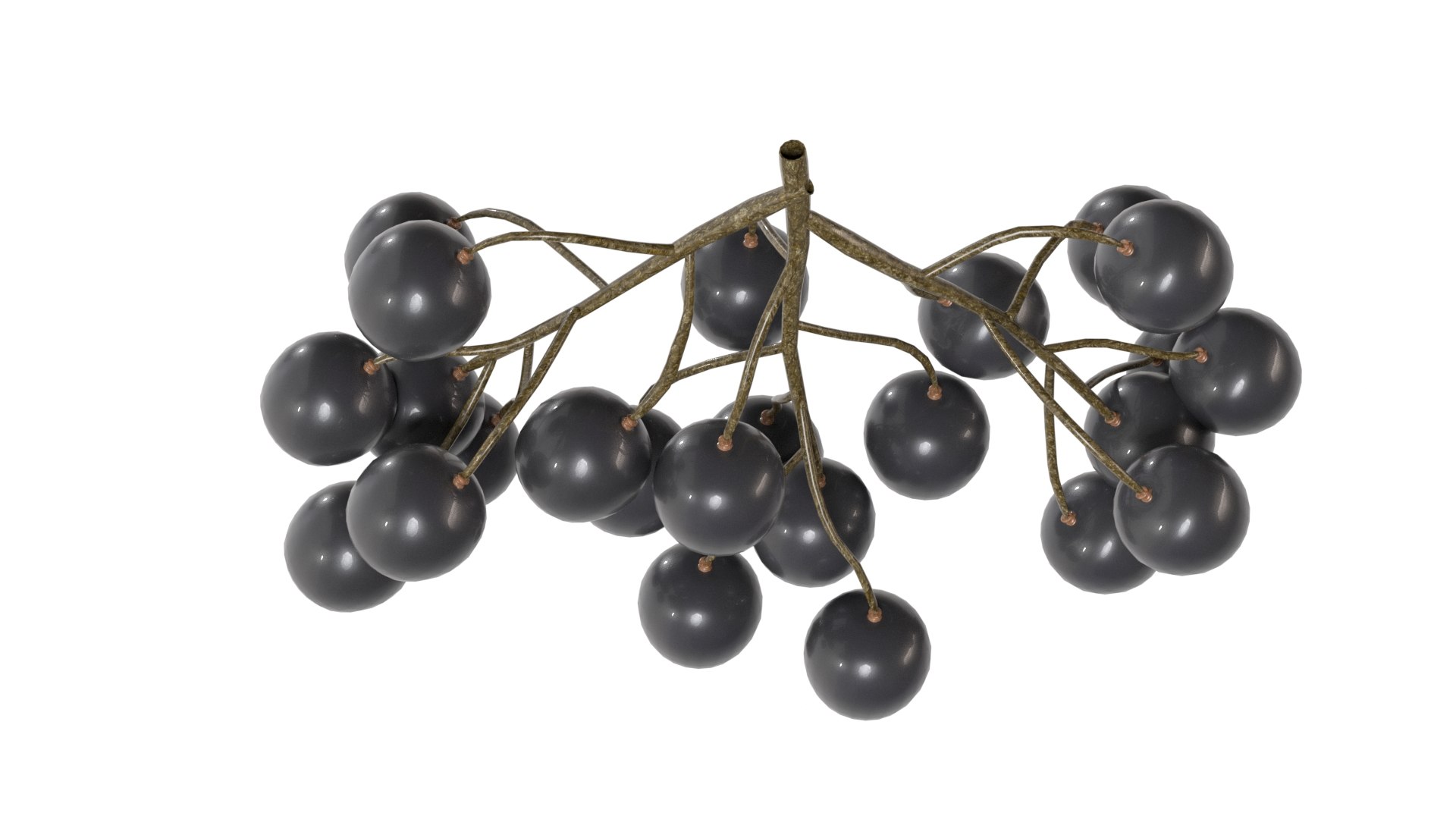 3D model Black Currant https://p.turbosquid.com/ts-thumb/Jv/yXH4mf/WH/5/jpg/1779512835/1920x1080/fit_q87/6c050cf53a6e424eb7d1f559432bbb76fab6cd67/5.jpg