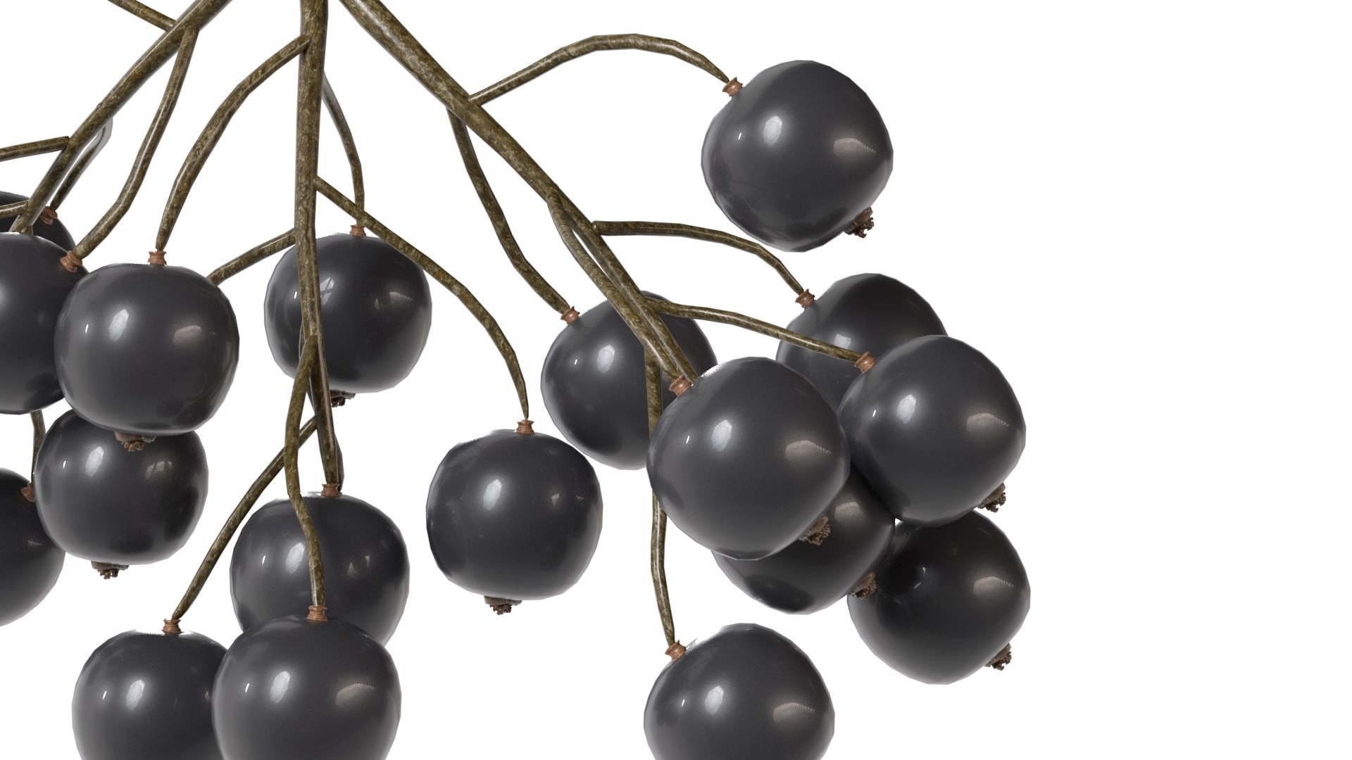3D model Black Currant https://p.turbosquid.com/ts-thumb/Jv/yXH4mf/e4/4/jpg/1779512834/1920x1080/fit_q87/ec6d773de608ede0f3a27b225e15561e95794cd6/4.jpg