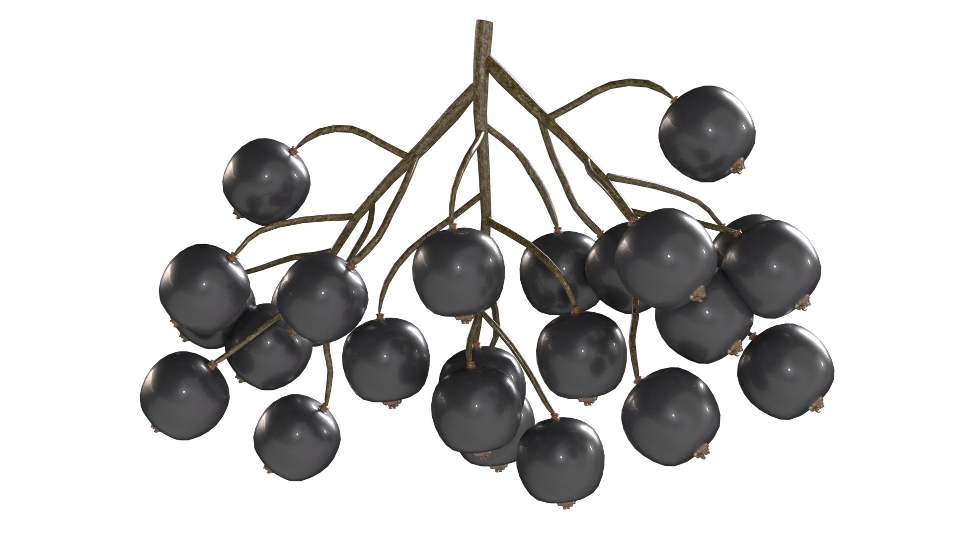 3D model Black Currant https://p.turbosquid.com/ts-thumb/Jv/yXH4mf/mb/1/jpg/1779512832/1920x1080/fit_q87/f644be1fff6b7bc6eb7007e9d9373b0165de5df9/1.jpg