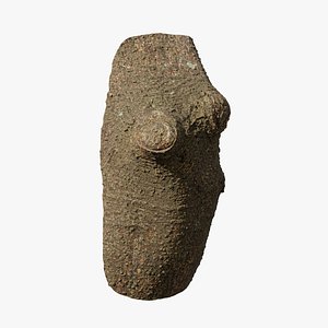 3D Anydrafts Lindera megaphylla Burl 01
