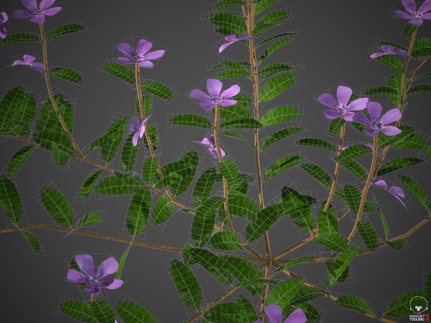 plants - pbr 2021 3D model https://p.turbosquid.com/ts-thumb/Jw/C8h1YW/48/screenshot001/png/1610496842/1920x1080/fit_q87/d91bab31ea413e8ceab558bd3d153657e73225ce/screenshot001.jpg