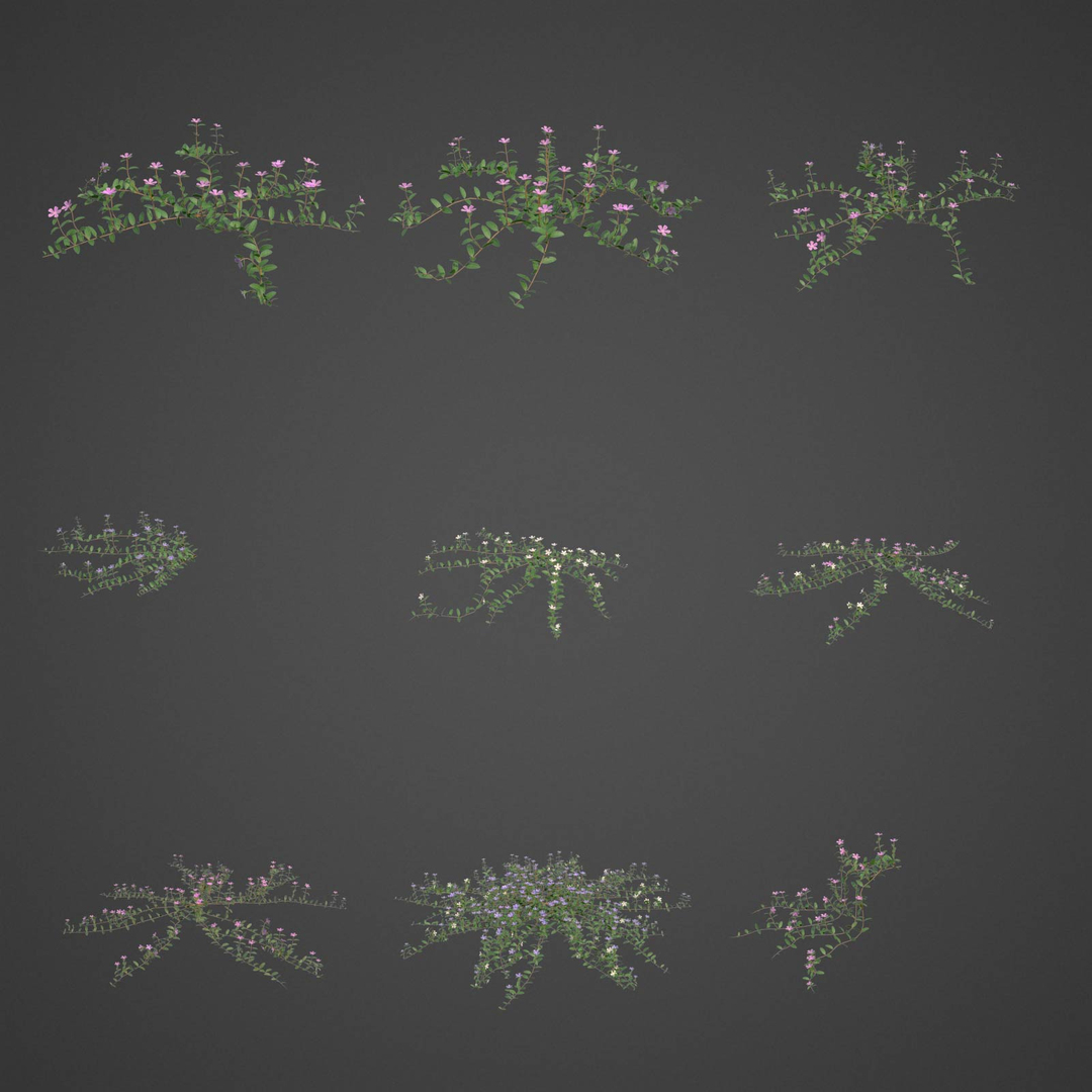 plants - pbr 2021 3D model https://p.turbosquid.com/ts-thumb/Jw/C8h1YW/97/ls20full/jpg/1613084341/1920x1080/turn_fit_q99/0d7e16189bbee5eb06607647dba26845935a6d36/ls20full-1.jpg