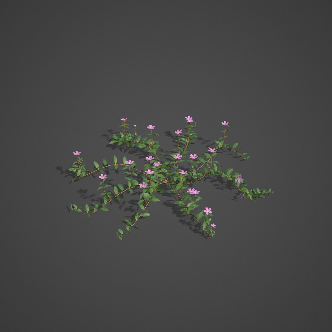 plants - pbr 2021 3D model https://p.turbosquid.com/ts-thumb/Jw/C8h1YW/Ha/ls20_02/png/1613083821/1920x1080/fit_q87/4126bed25ad16d26a6b1db8594db1513a9696de8/ls20_02.jpg