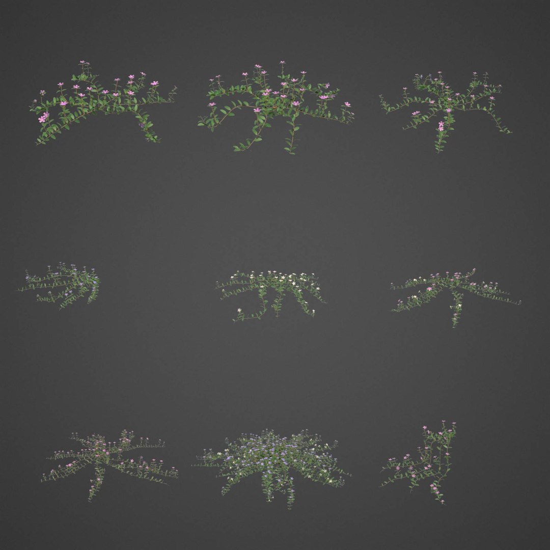 plants - pbr 2021 3D model https://p.turbosquid.com/ts-thumb/Jw/C8h1YW/UV/ls20full_04/jpg/1613083832/1920x1080/fit_q87/8bfc6b261f646bf04fd4ad5b343e40ca3677a50b/ls20full_04.jpg