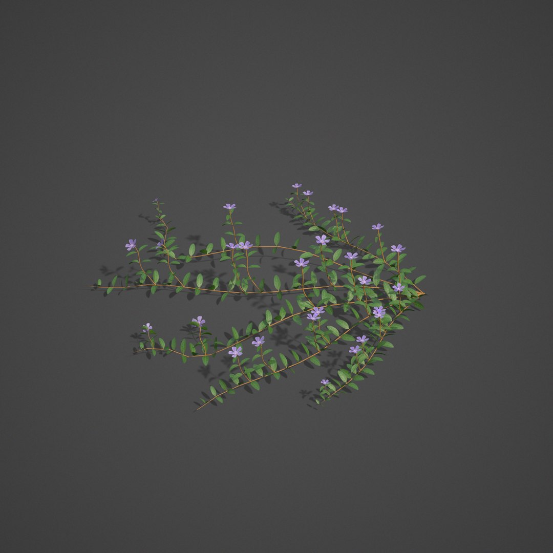 plants - pbr 2021 3D model https://p.turbosquid.com/ts-thumb/Jw/C8h1YW/jI/ls20_04/png/1613083819/1920x1080/fit_q87/f23e606241f3e9f93bbeaffa00fe39528670edc4/ls20_04.jpg