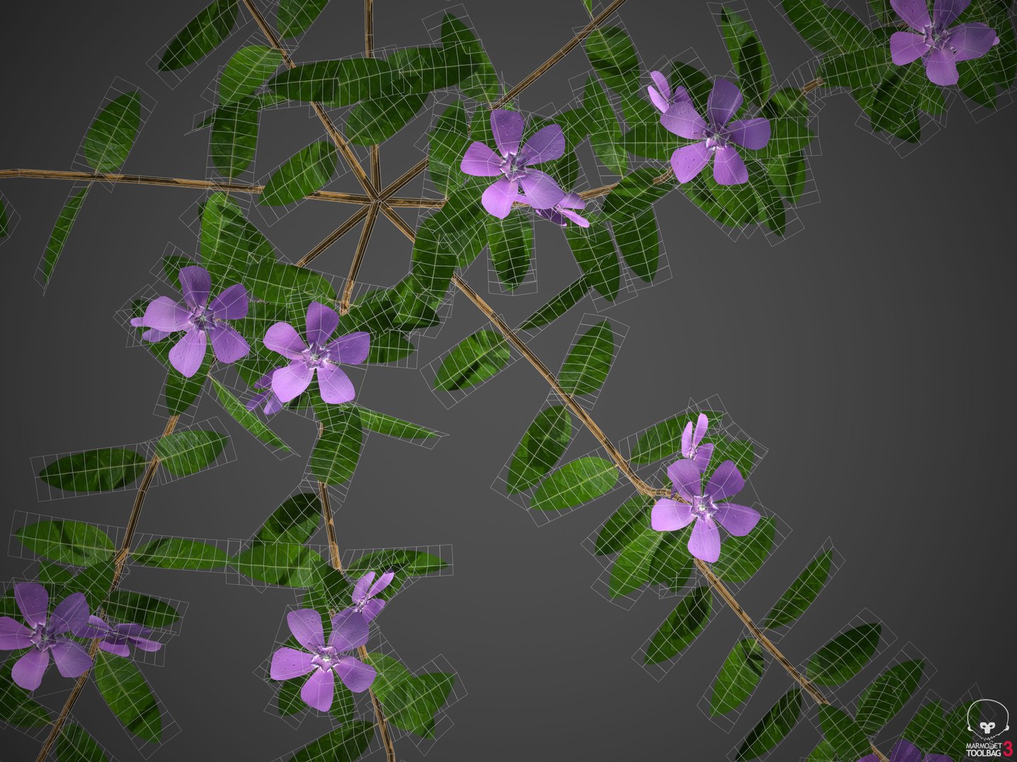 plants - pbr 2021 3D model https://p.turbosquid.com/ts-thumb/Jw/C8h1YW/kY/wireframe3/jpg/1613083819/1920x1080/fit_q87/895bd18e373bc7adfecf1d8bbaf02146b52f1dae/wireframe3.jpg