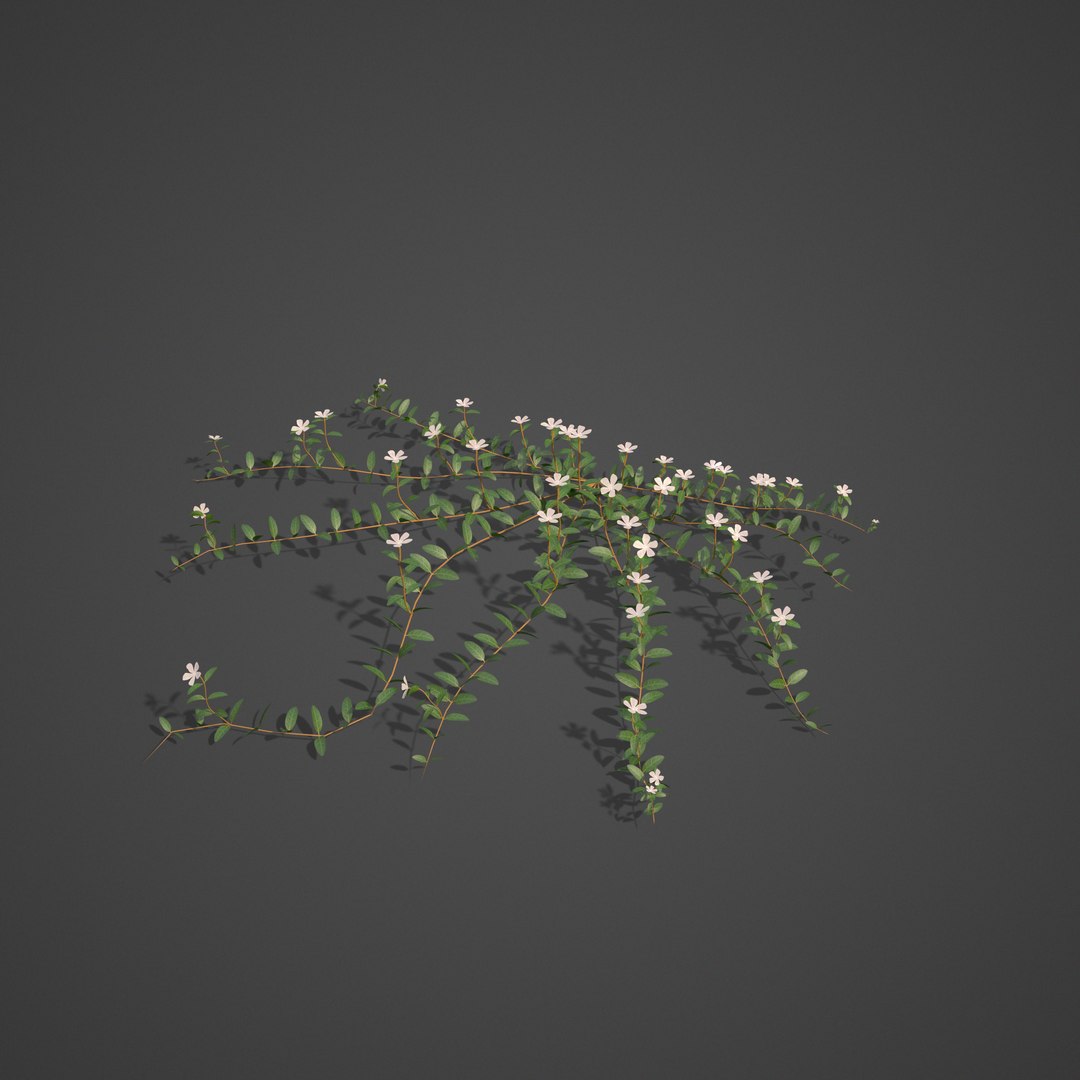 plants - pbr 2021 3D model https://p.turbosquid.com/ts-thumb/Jw/C8h1YW/oy/ls20_05/png/1613083821/1920x1080/fit_q87/769734d1fab7f2855ab4d026097e3065d264541a/ls20_05.jpg