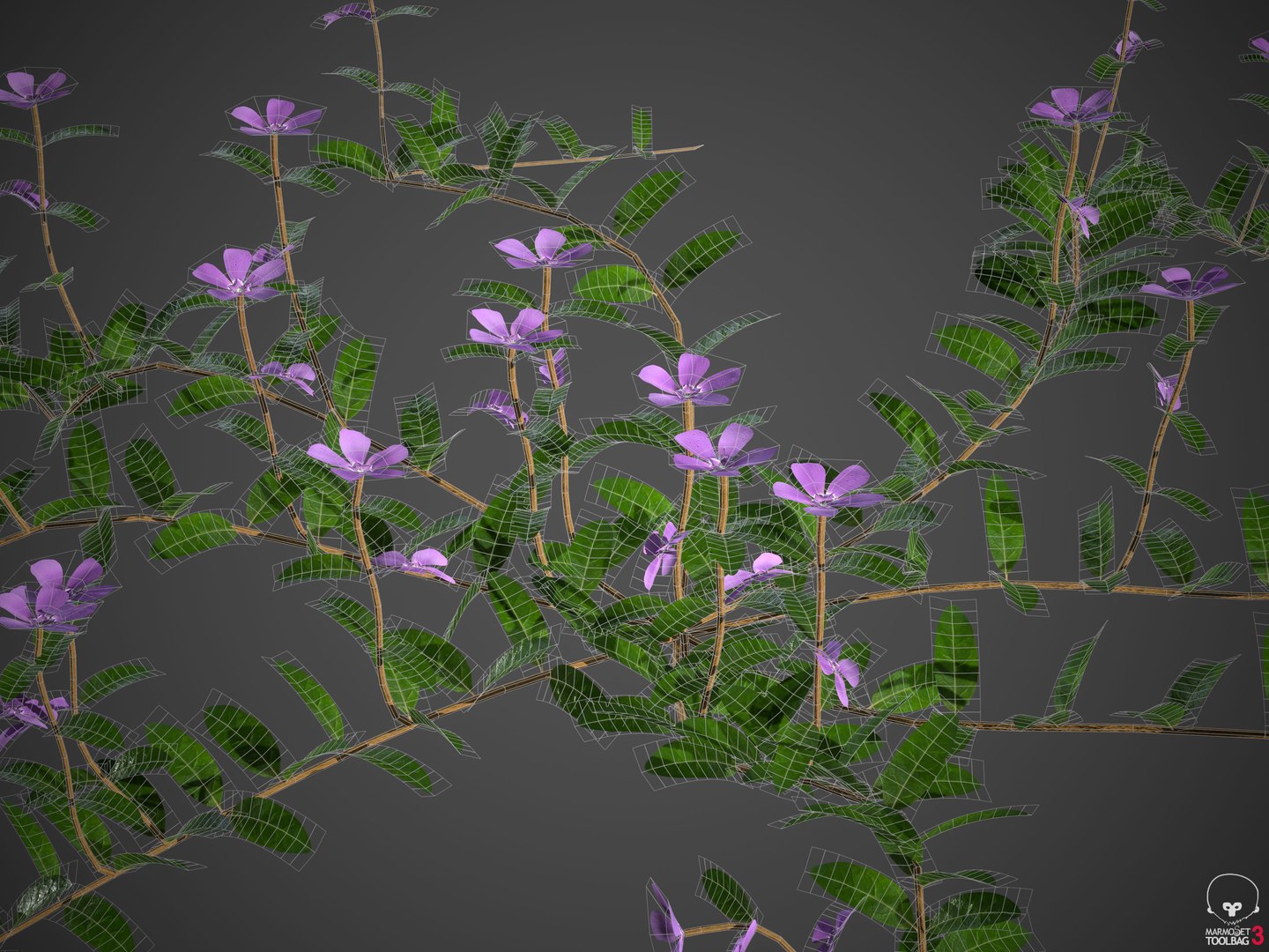 plants - pbr 2021 3D model https://p.turbosquid.com/ts-thumb/Jw/C8h1YW/zp/wireframe2/jpg/1613083819/1920x1080/fit_q87/b55356f9a8dda2863272562bf97e87a8021f92c9/wireframe2.jpg