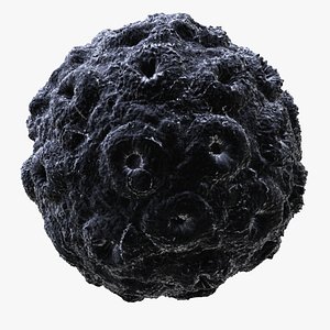 Brome Mosaic Virus HD