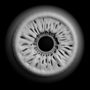 brown eye iris 3D model