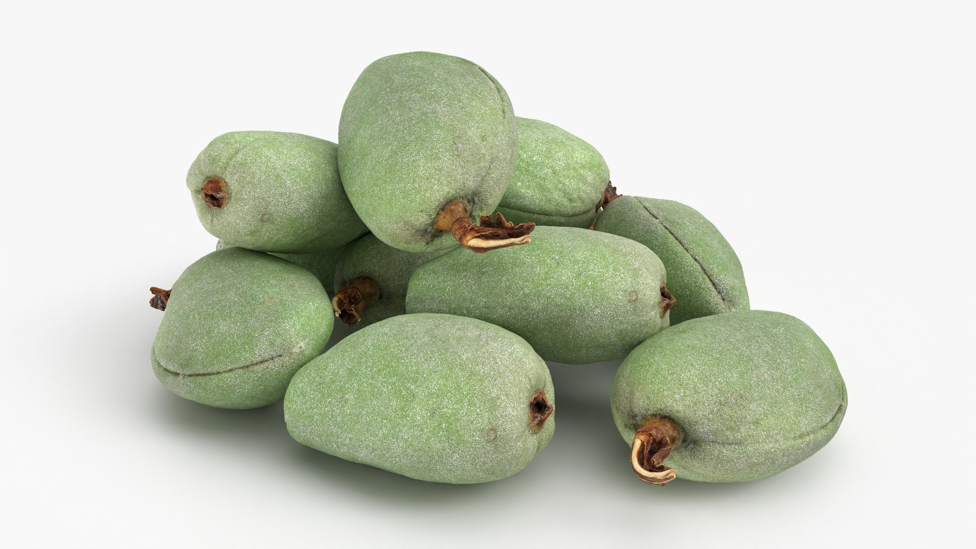 Fresh Green Almonds 3D model https://p.turbosquid.com/ts-thumb/Jw/OETyfZ/3n/almondgreen01_0008/png/1780651573/1920x1080/fit_q87/5c67516124aa5573d150a2cf48799c65d51b7372/almondgreen01_0008.jpg