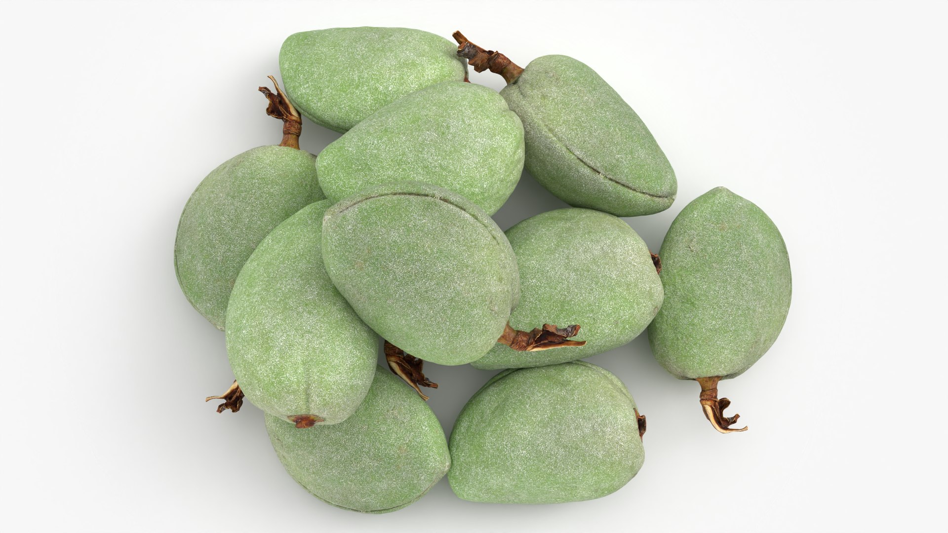 Fresh Green Almonds 3D model https://p.turbosquid.com/ts-thumb/Jw/OETyfZ/G8/almondgreen01_0006/png/1780651565/1920x1080/fit_q87/3972c6c245a55edc6d1d3f78d7460894173e5f03/almondgreen01_0006.jpg