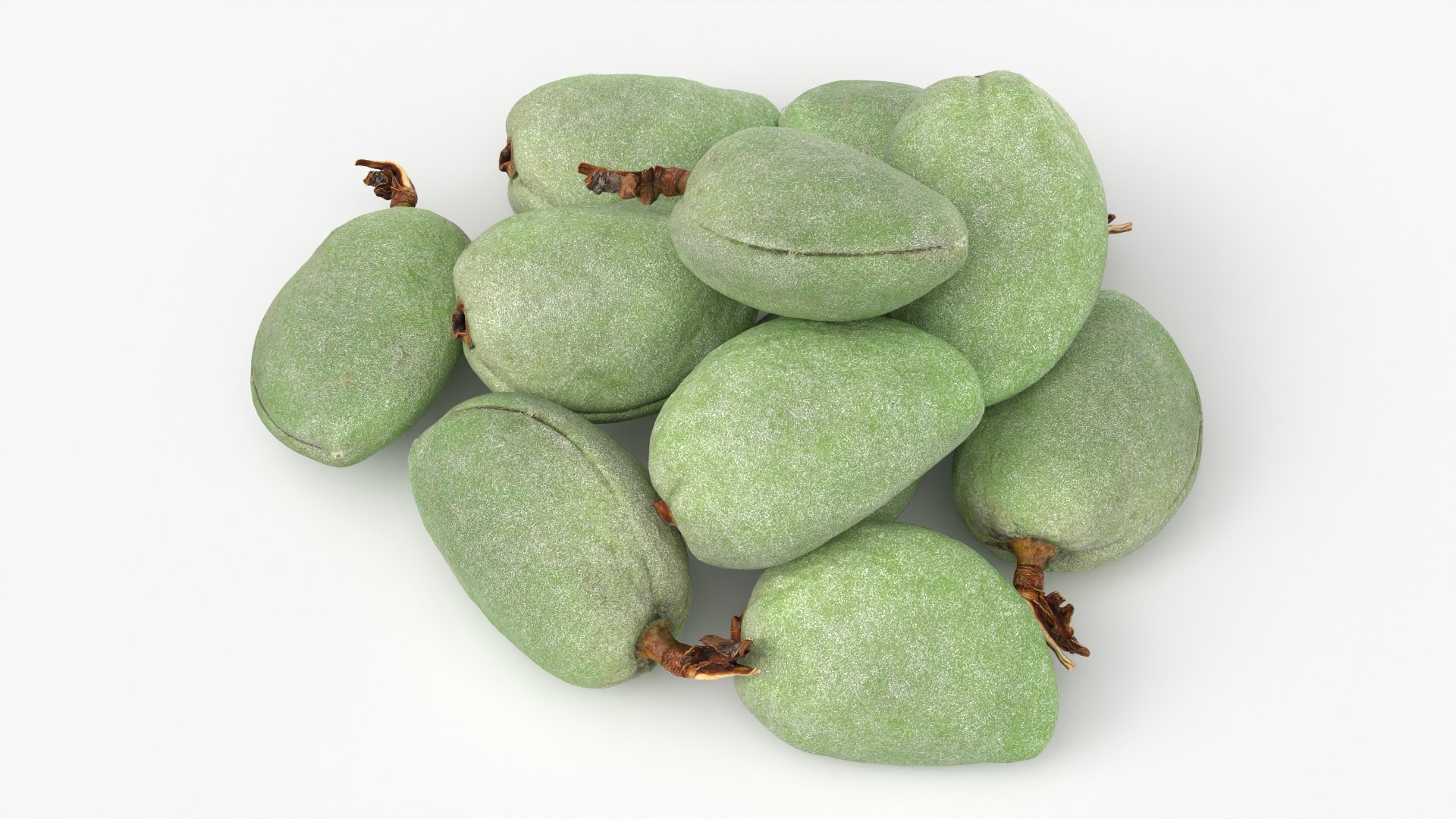 Fresh Green Almonds 3D model https://p.turbosquid.com/ts-thumb/Jw/OETyfZ/Kw/almondgreen01_0003/png/1780651552/1920x1080/fit_q87/b64aeccae4ec7790cacbf18c741503f71da0d68d/almondgreen01_0003.jpg