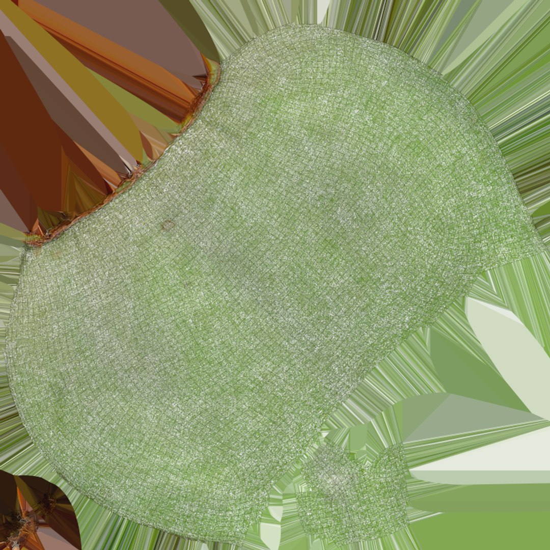 Fresh Green Almonds 3D model https://p.turbosquid.com/ts-thumb/Jw/OETyfZ/QN/almondgreen01_e0004/png/1780651573/1920x1080/fit_q87/ee44e130e07f39e6407a651a5a17246d5cc4f787/almondgreen01_e0004.jpg