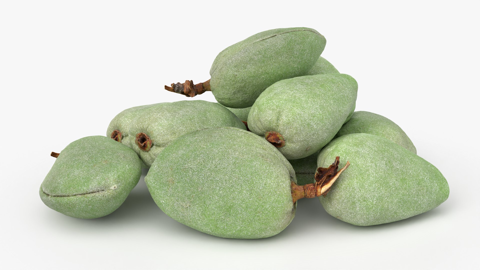 Fresh Green Almonds 3D model https://p.turbosquid.com/ts-thumb/Jw/OETyfZ/U3/almondgreen01_0005/png/1780651565/1920x1080/fit_q87/3f3c8641b9f3d563d191fa49d97b786325cd3cd7/almondgreen01_0005.jpg