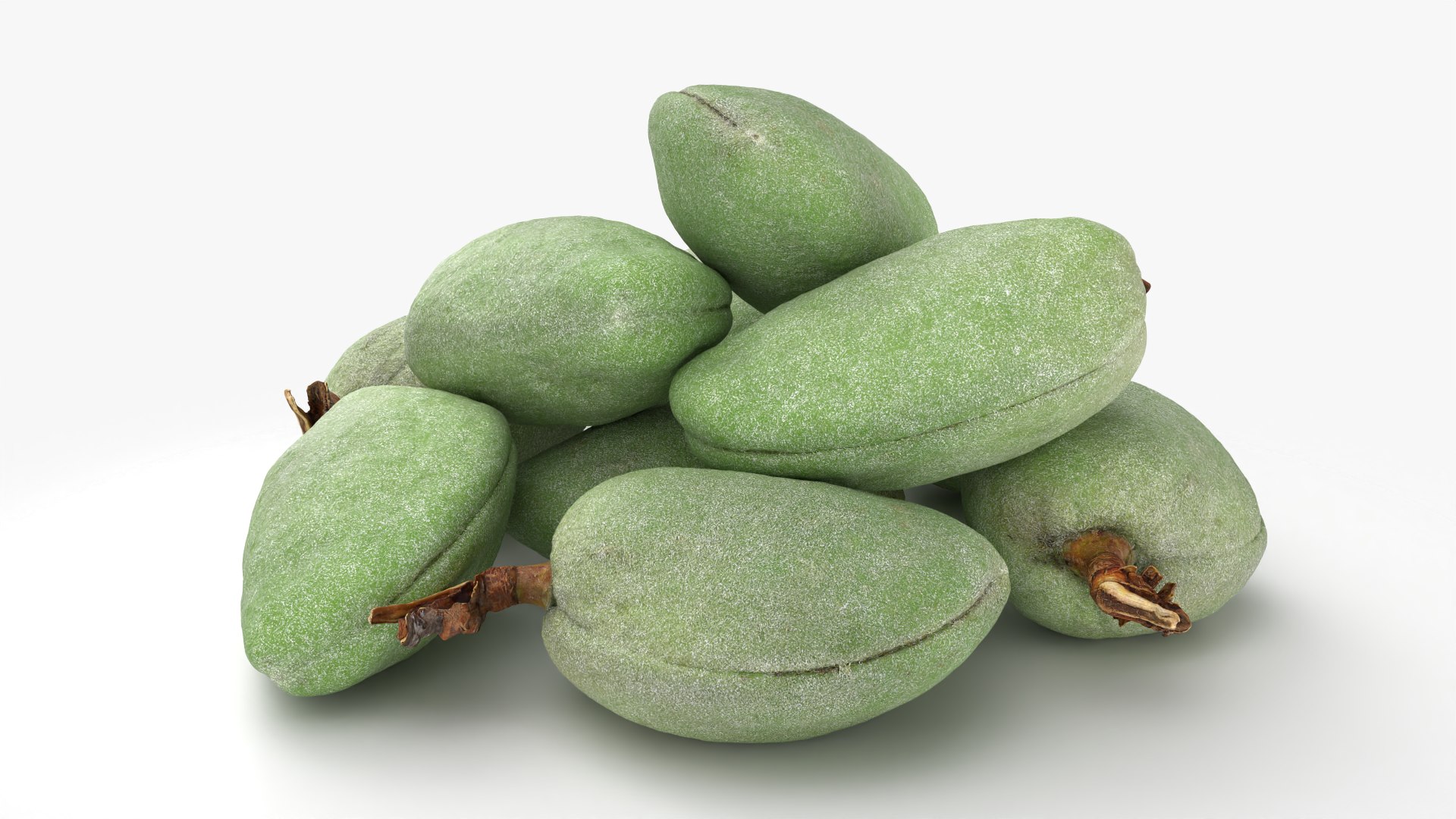 Fresh Green Almonds 3D model https://p.turbosquid.com/ts-thumb/Jw/OETyfZ/gz/almondgreen01_0007/png/1780651570/1920x1080/fit_q87/70669ee7e1f4203b1bb9dfb178ad15adc706f93a/almondgreen01_0007.jpg
