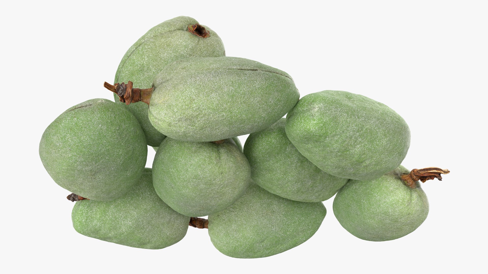 Fresh Green Almonds 3D model https://p.turbosquid.com/ts-thumb/Jw/OETyfZ/sZ/almondgreen01_0009/png/1780651571/1920x1080/fit_q87/a97b9c92a056e3cefc2569283b20e5c7289bc26b/almondgreen01_0009.jpg