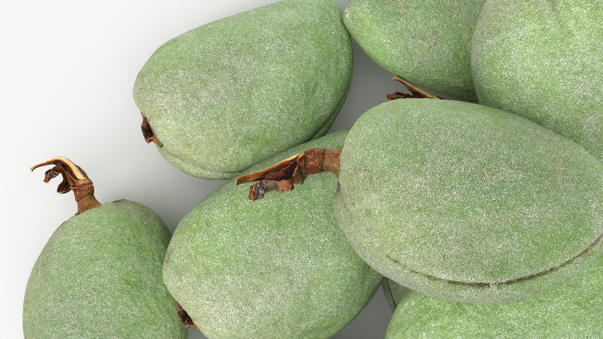 Fresh Green Almonds 3D model https://p.turbosquid.com/ts-thumb/Jw/OETyfZ/tM/almondgreen01_0004/png/1780651560/1920x1080/fit_q87/c1b2982e6f13388a1b10753a89a2b5db309c82f0/almondgreen01_0004.jpg