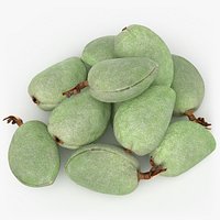 Fresh Green Almonds