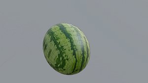 3D model karpuz